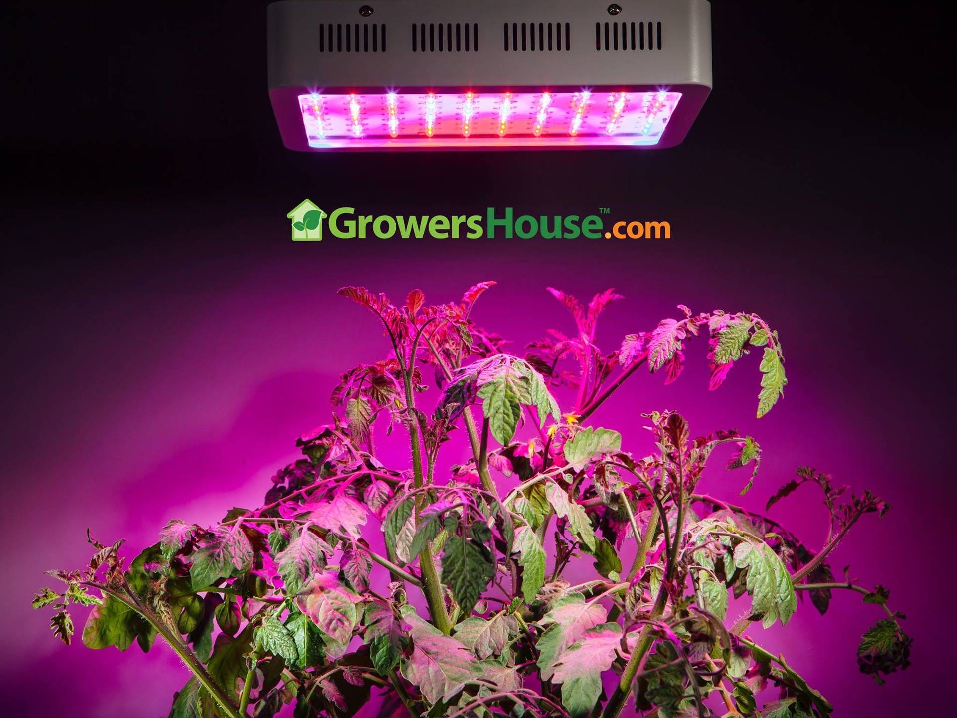 GrowersHouse