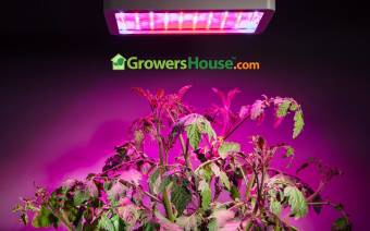 GrowersHouse