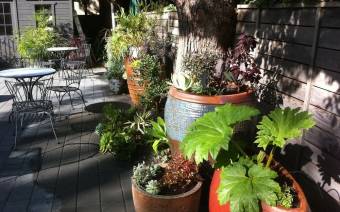 Farallon Gardens