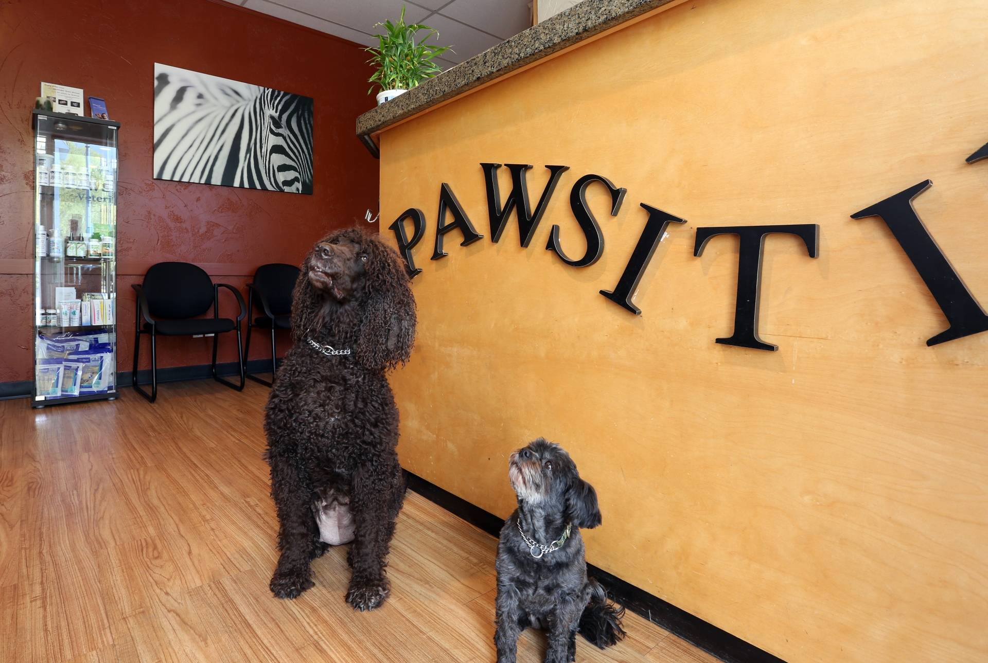 Pawsitive Veterinary Care