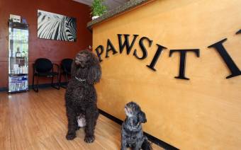 Pawsitive Veterinary Care