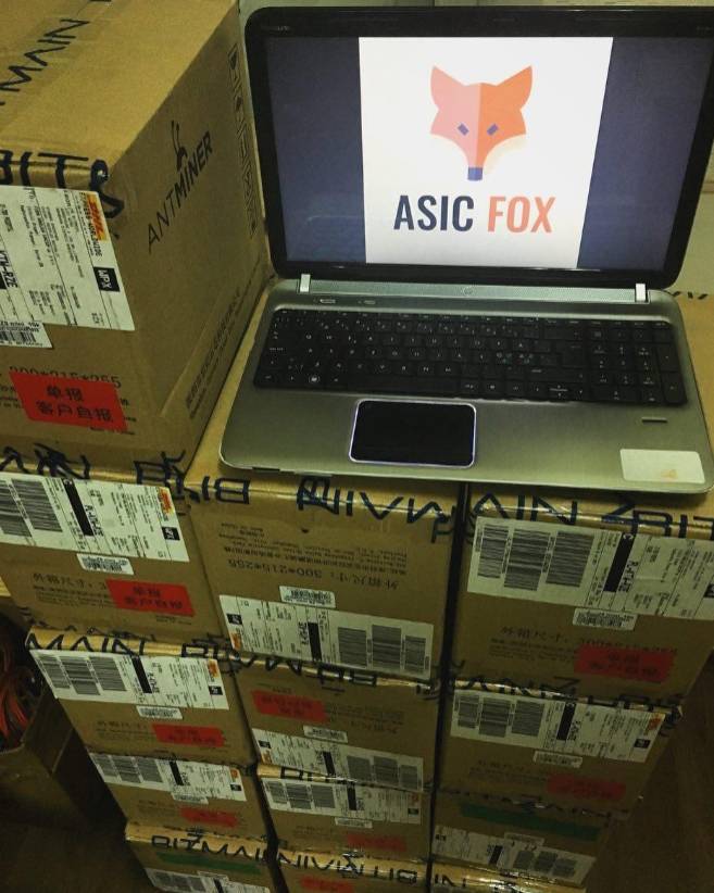 AsicFox