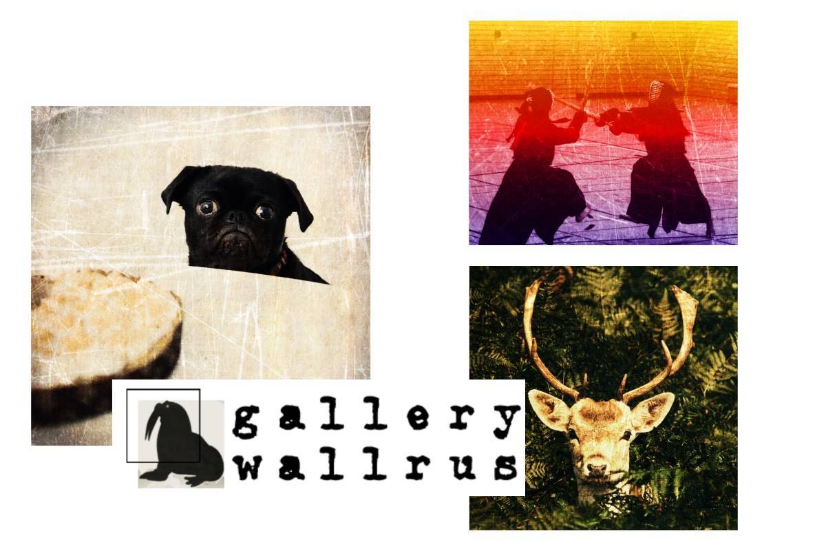 Gallery Wallrus