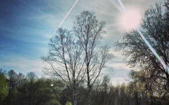 Bare Oaks Family Naturist Park