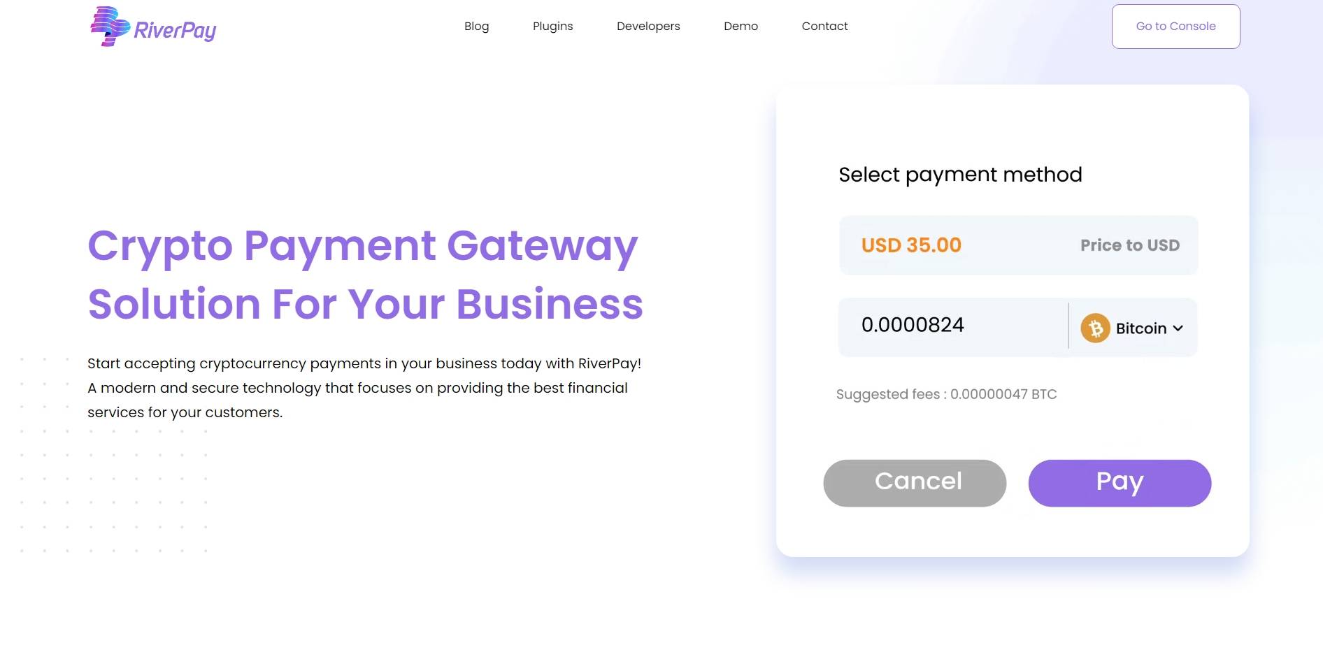 RiverPay