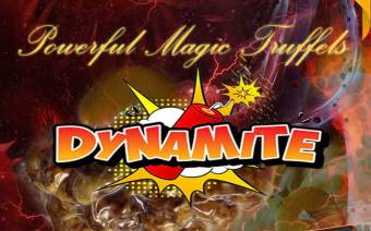 Magic Truffles