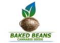 Baked Beans Cannabis Seeds