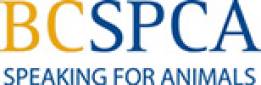 BC SPCA
