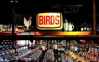 Birds Cafe