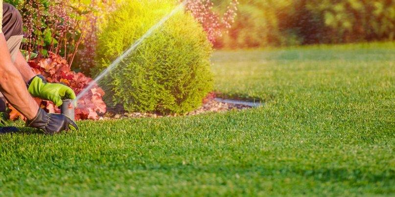 Sonoma Valley Gardening