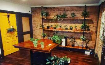 Plant Daddy Co.