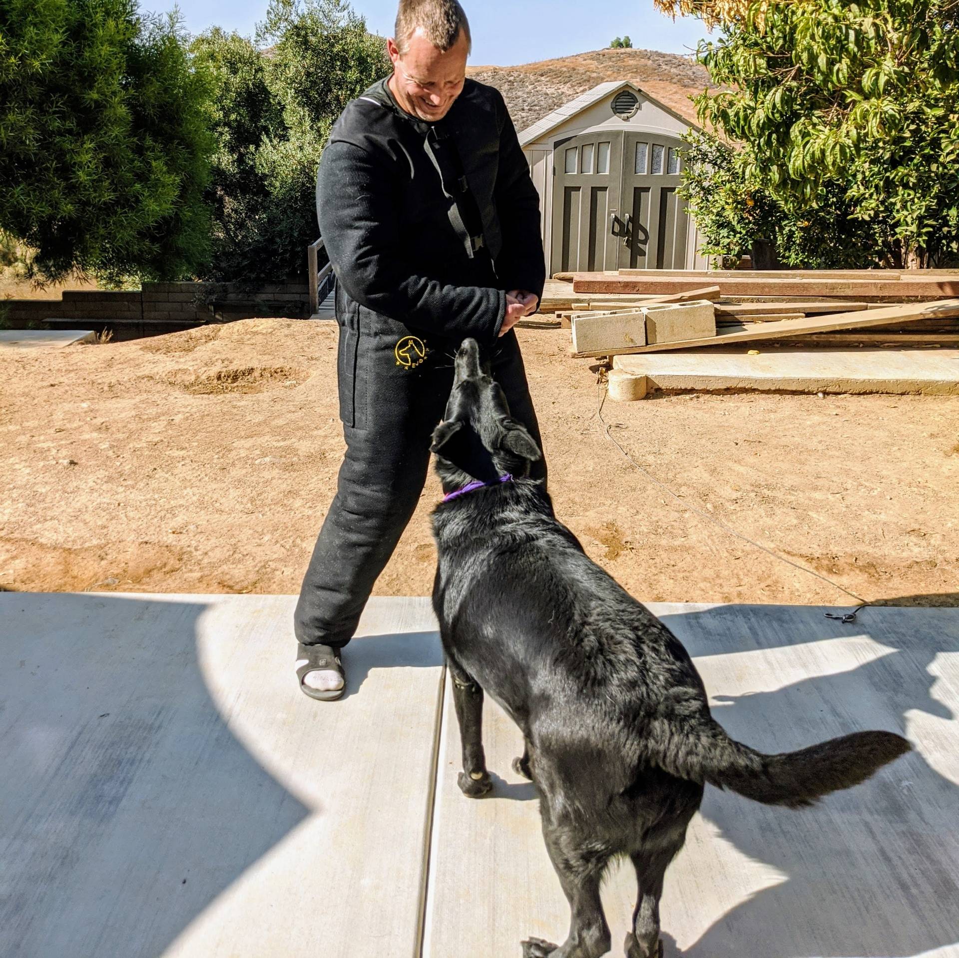Happy Dog Training