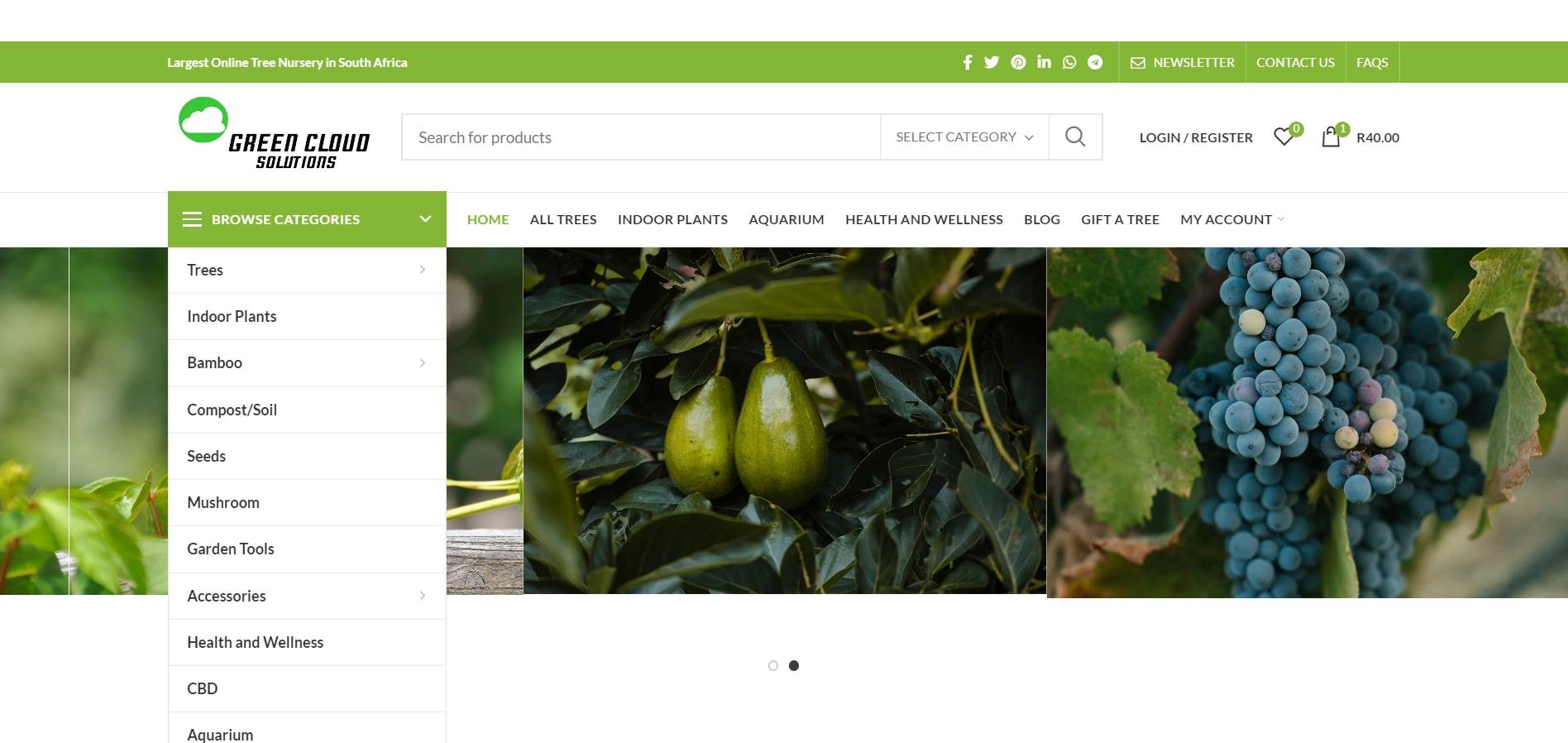 Green Cloud Solutions