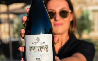 Wine & more