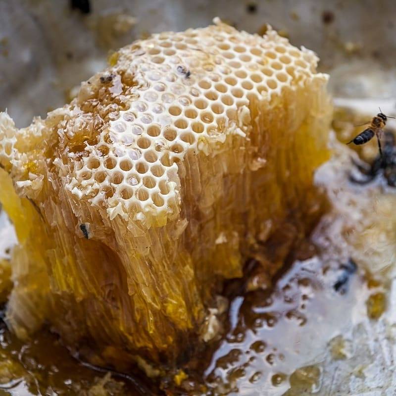 The Mad Honey