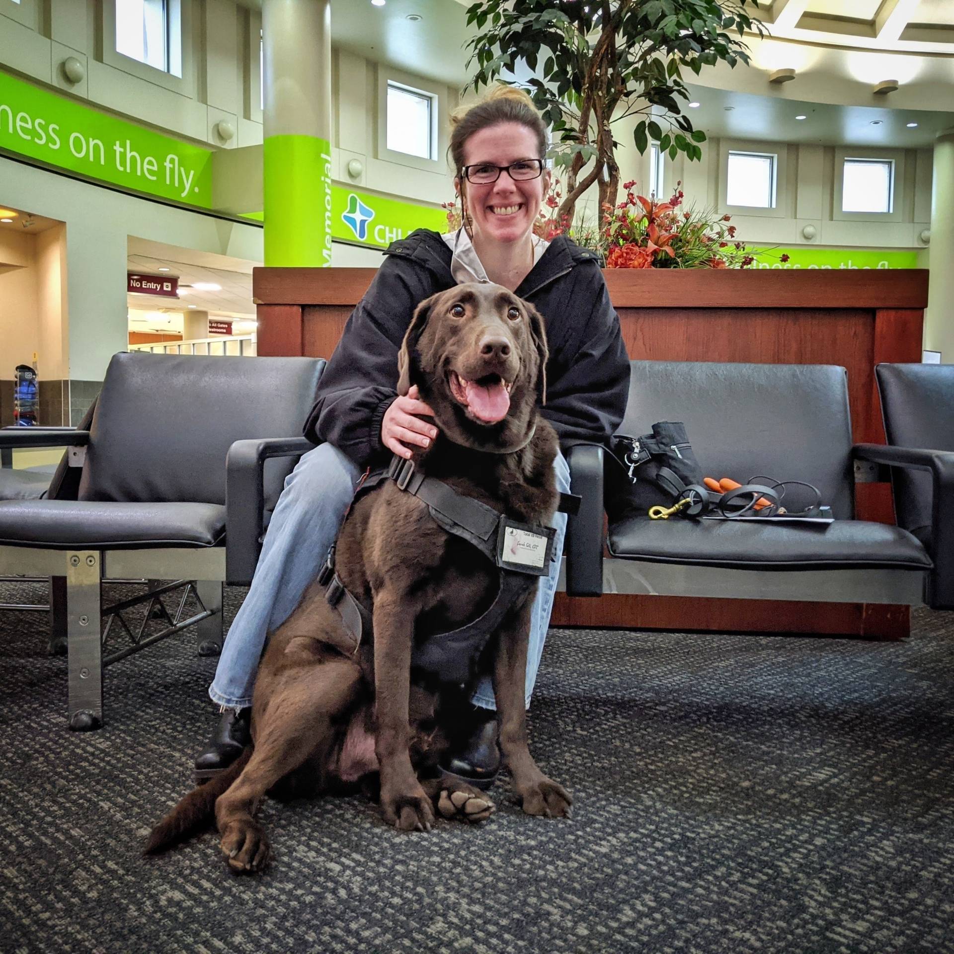 Happy Dog Training