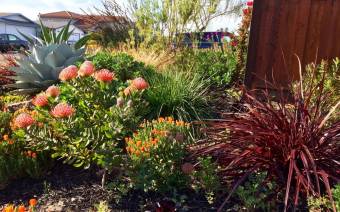 Farallon Gardens