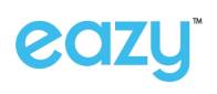 Eazy Financial Services