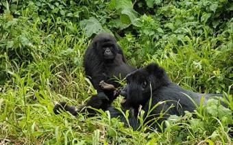 Virunga National Park