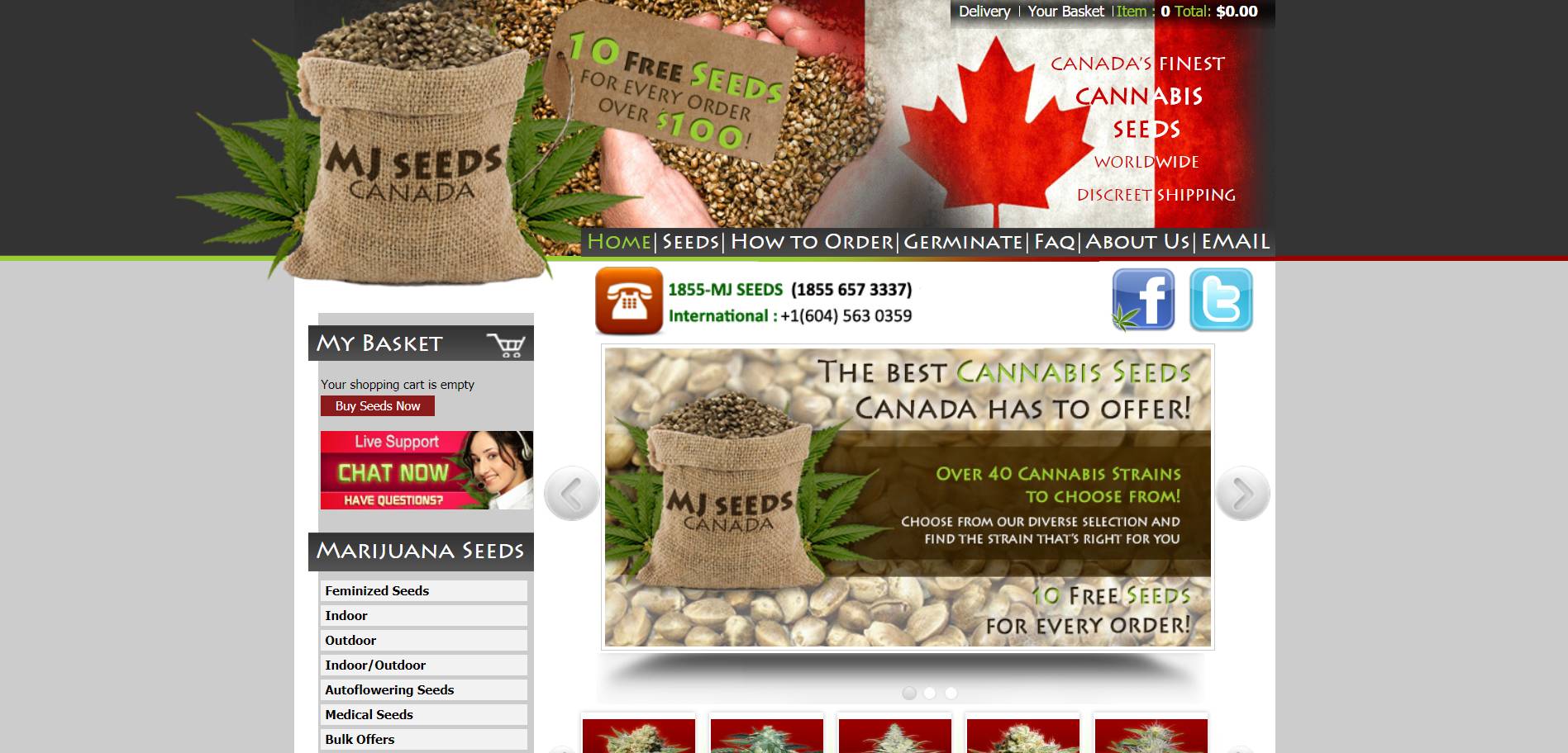 MJ Seeds Canada