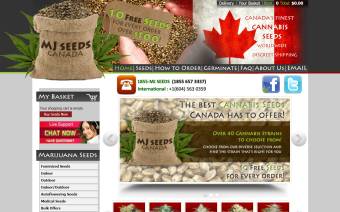 MJ Seeds Canada