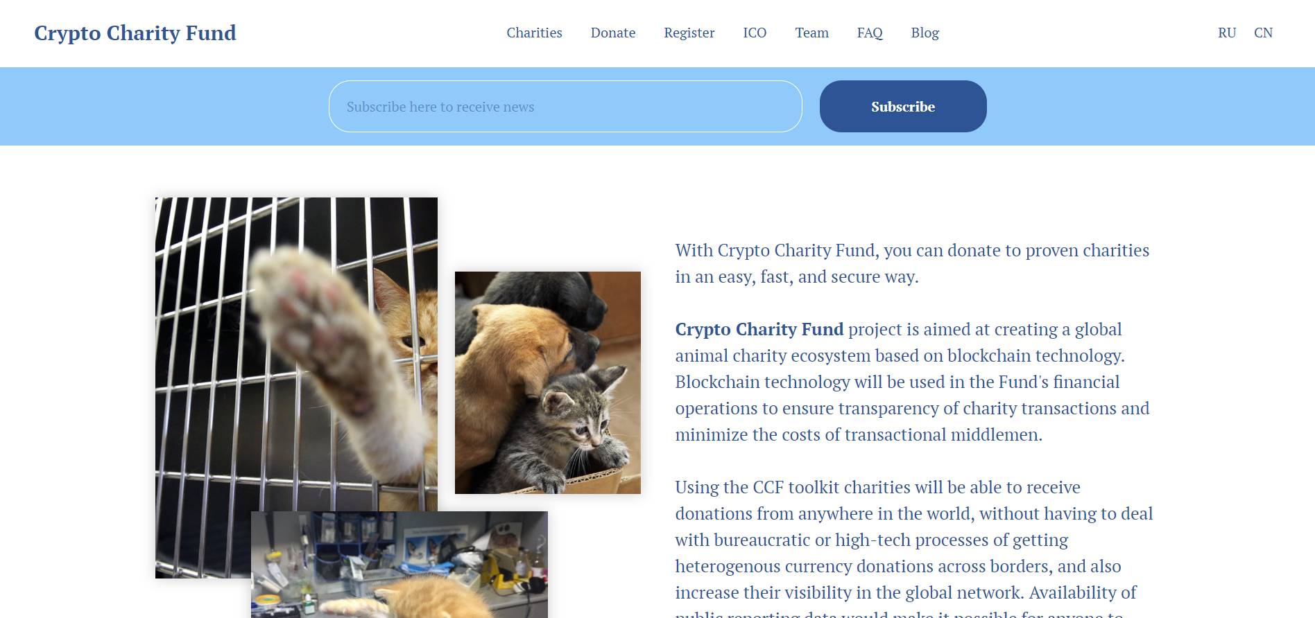 Crypto Charity Fund