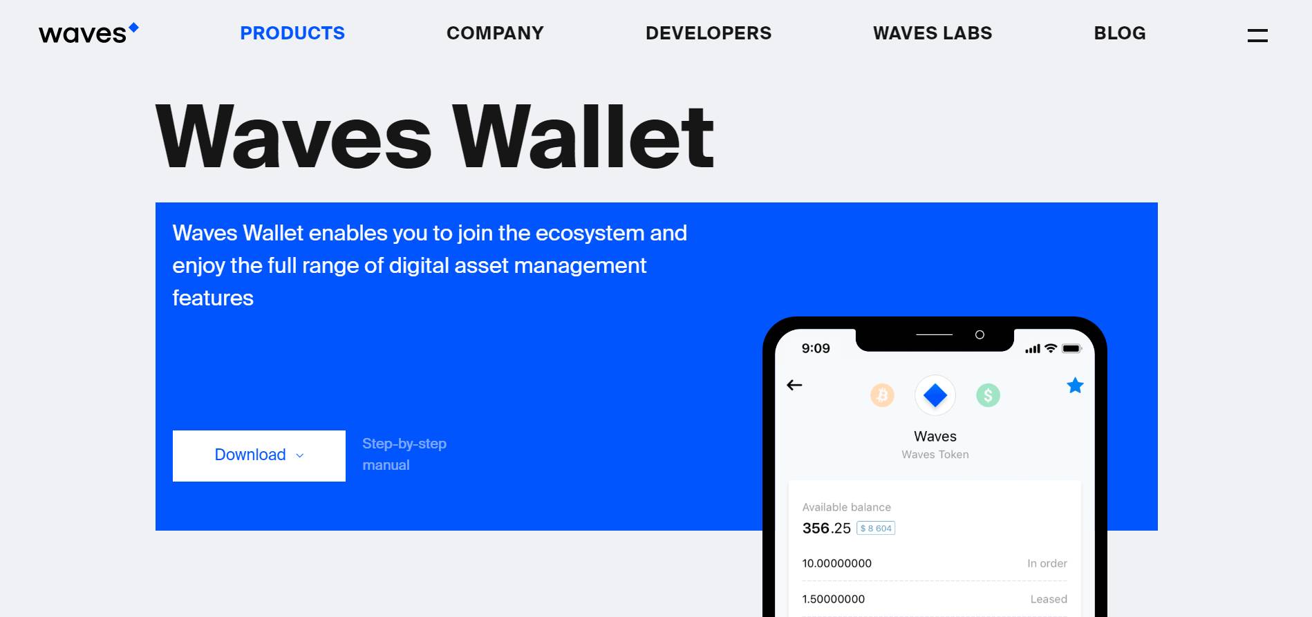 Waves Wallet