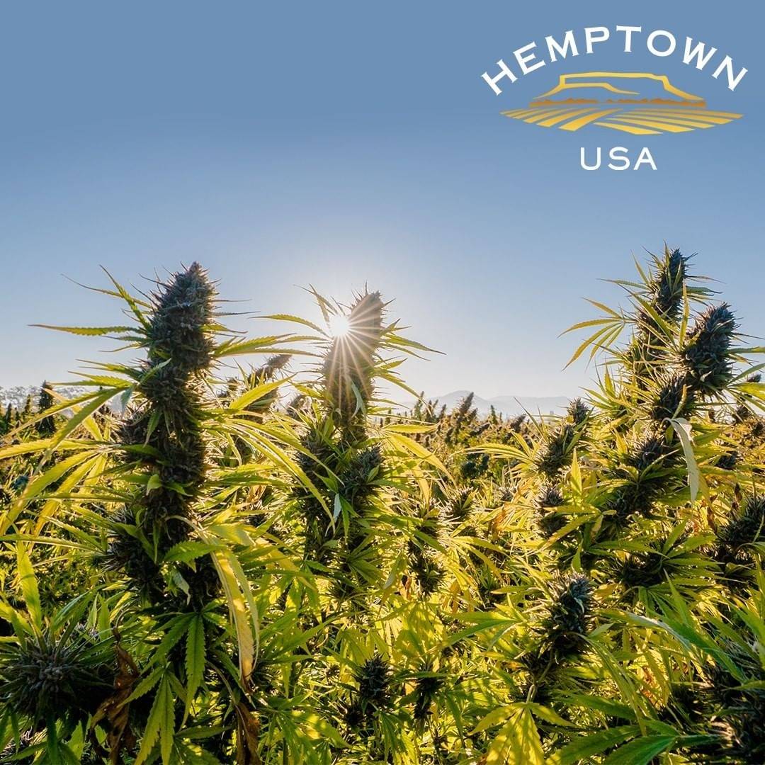 Hemptown USA