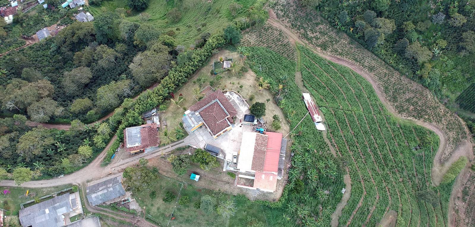 Finca Naya