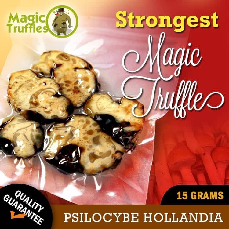 Magic Truffles