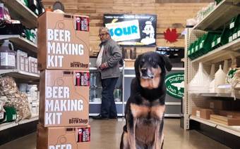 Toronto Brewing