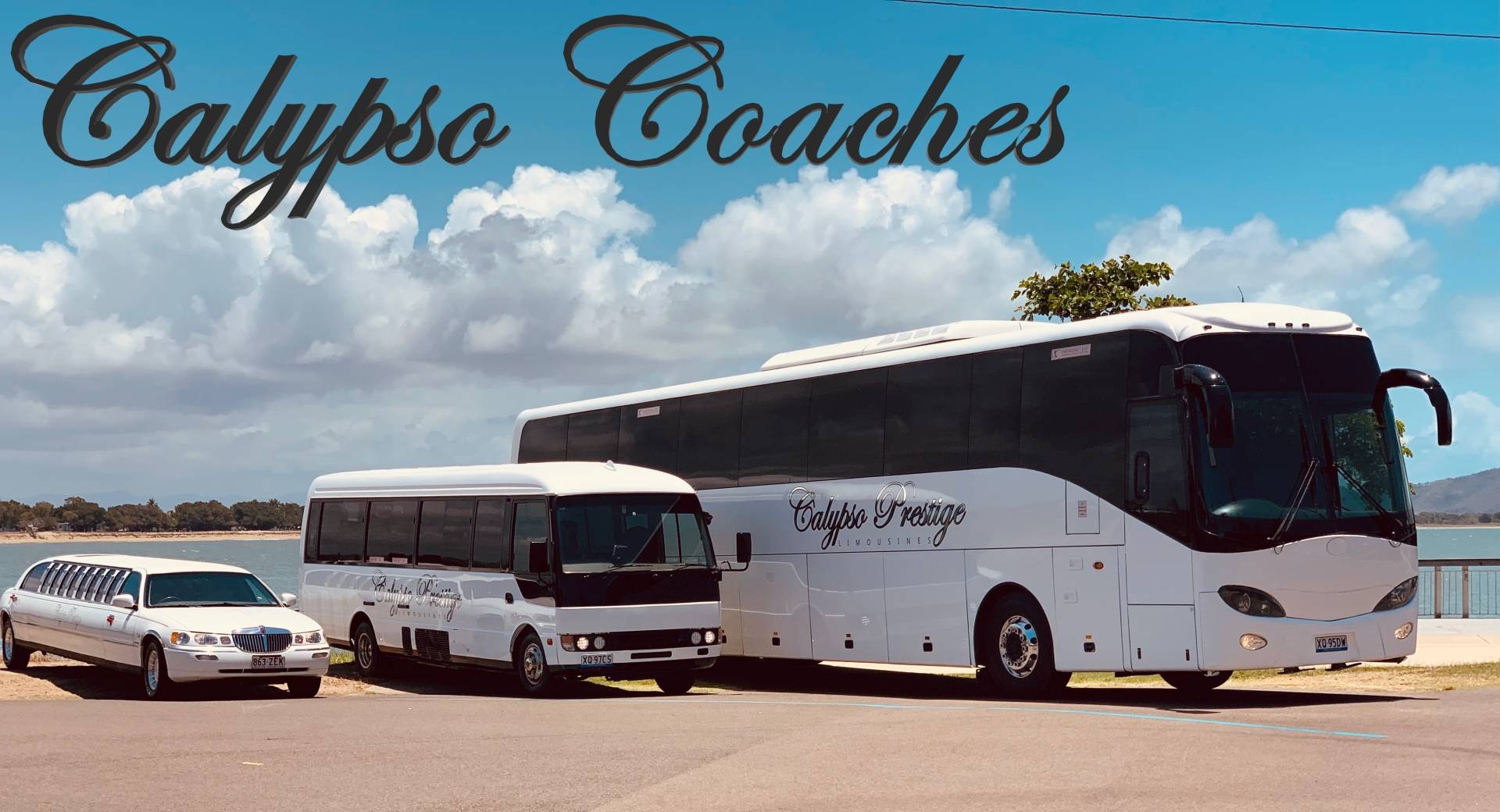 Calypso Coaches