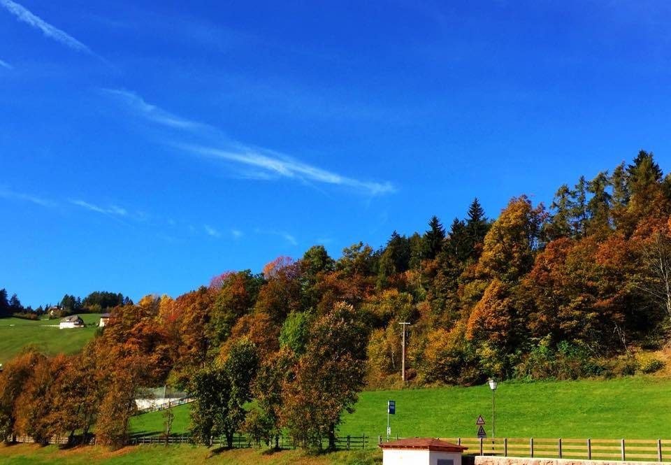Gasthaus Bachmann