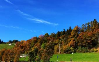 Gasthaus Bachmann