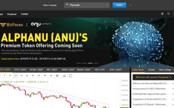 BitForex