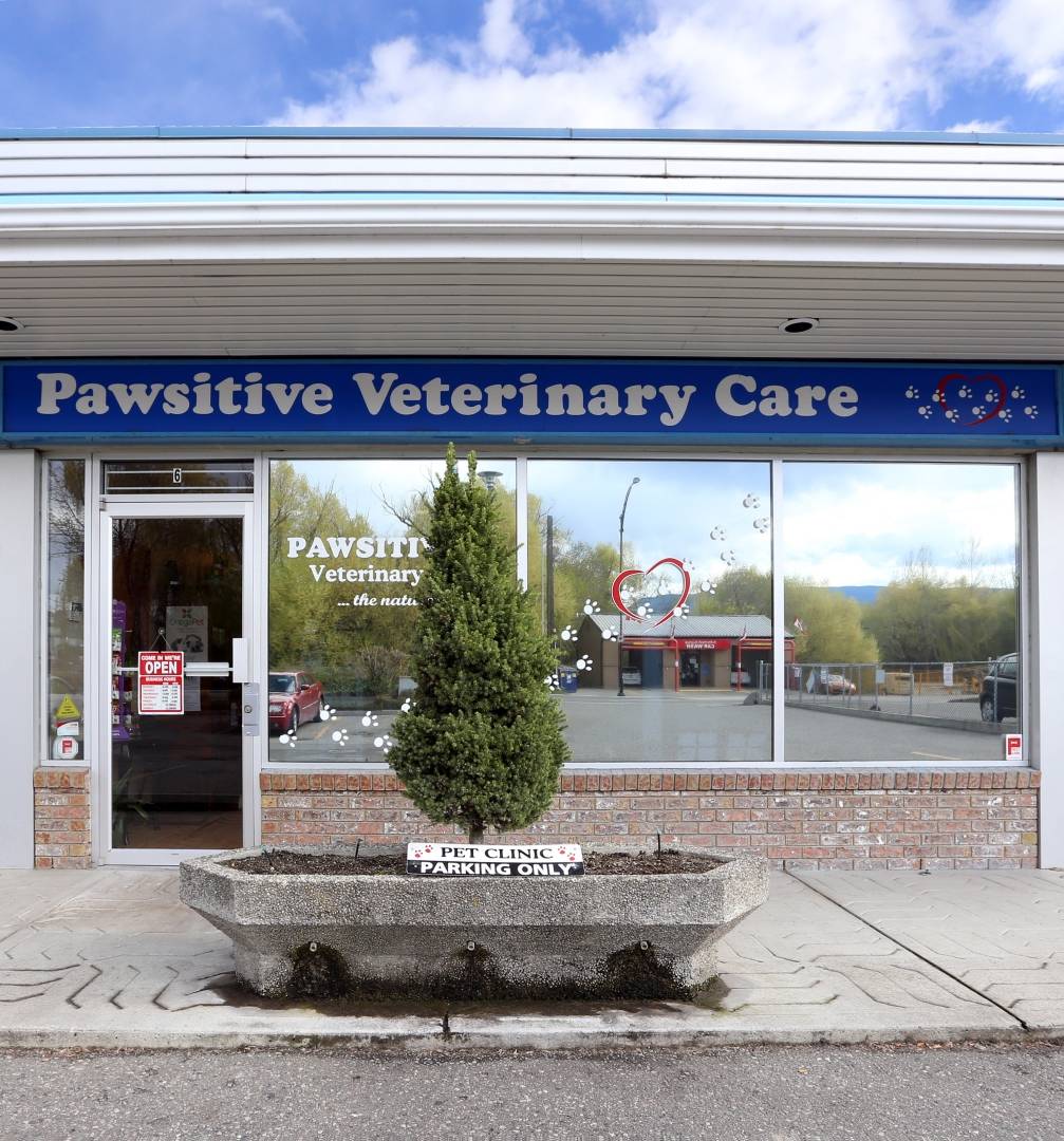 Pawsitive Veterinary Care