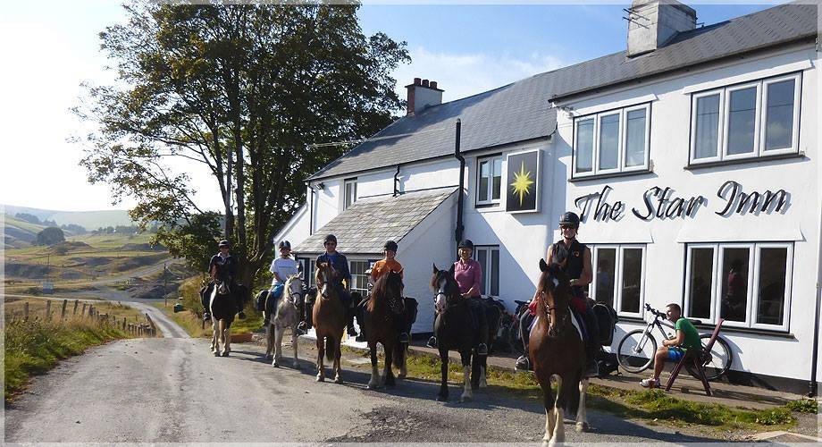 Freerein Riding Holidays