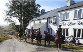 Freerein Riding Holidays