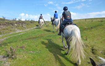 Freerein Riding Holidays