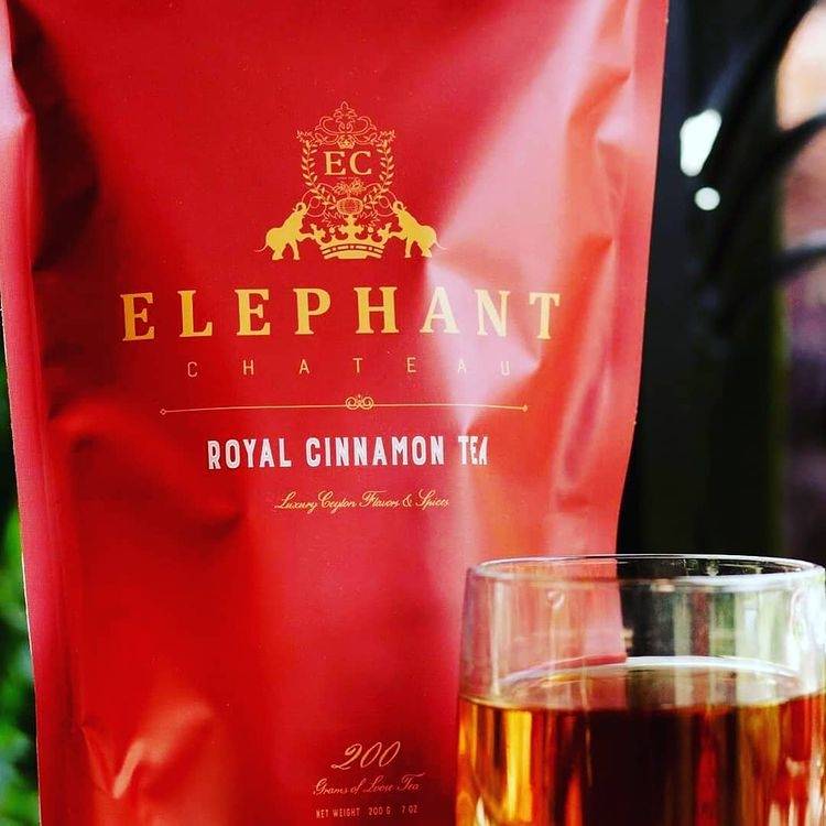 Elephant Chateau