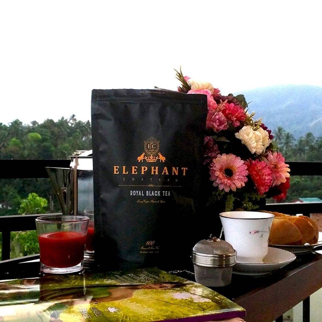 Elephant Chateau