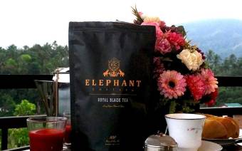 Elephant Chateau
