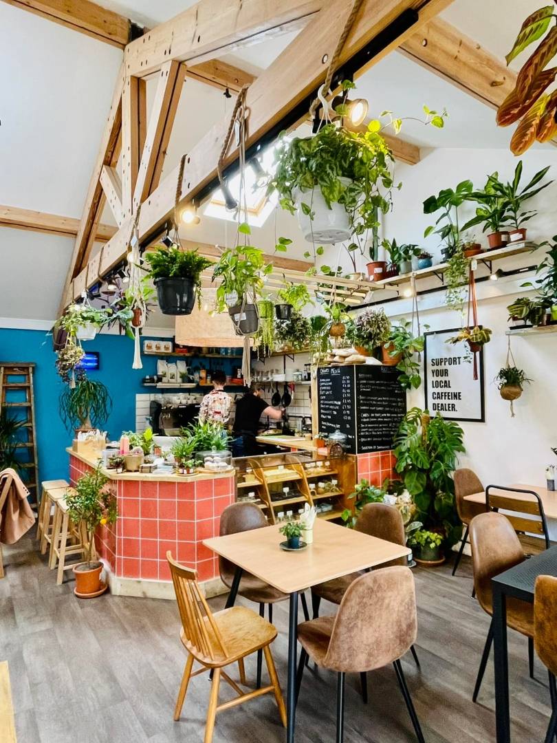 The Suffolk Jungle Room