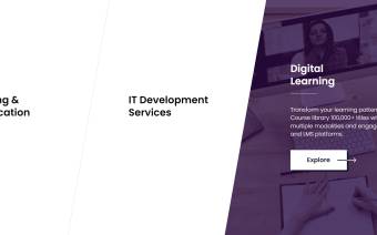Vinsys IT Services