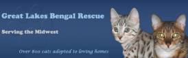 Great Lakes Bengal Rescue
