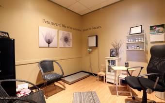 Pawsitive Veterinary Care