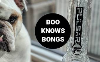 DopeBoo