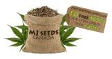 MJ Seeds Canada