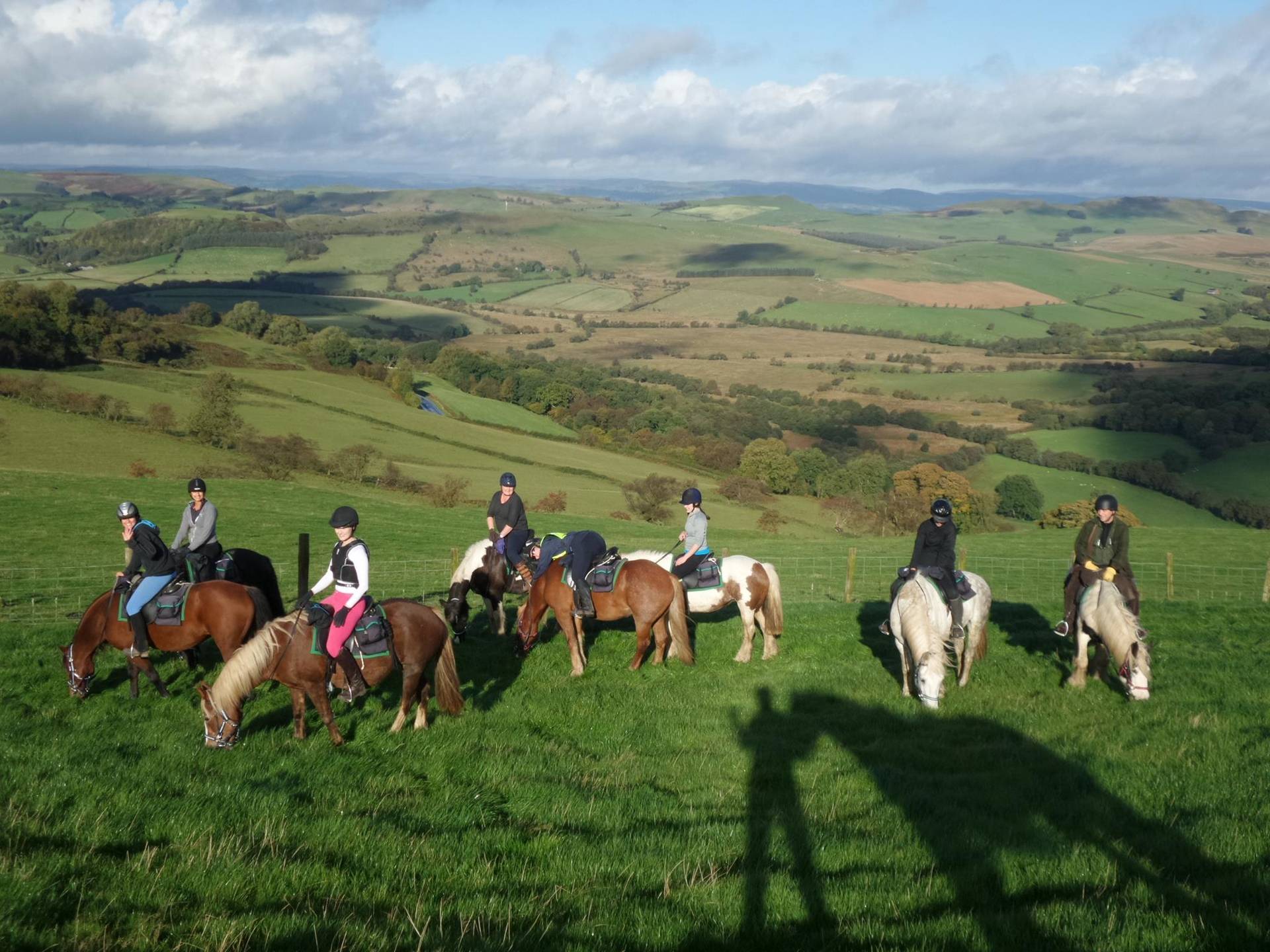 Freerein Riding Holidays