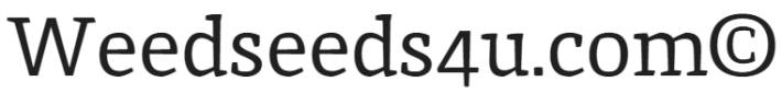 Weedseeds4u